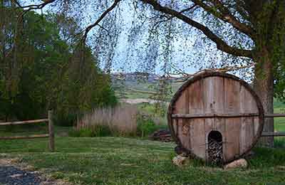 Agriturismo  vicino a San Gimignano